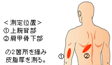 体脂肪率