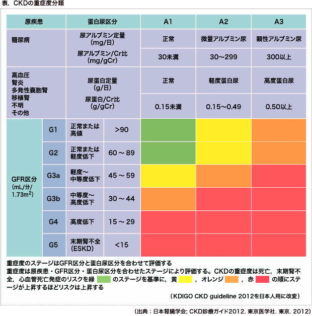 腎臓の働き(GFR)を推算