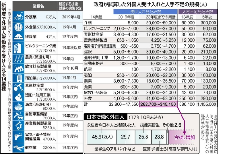 外国人を直接雇用できる実現可能性評価プログラム